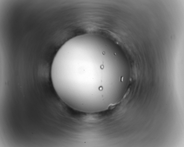 X0000088490664200706051419