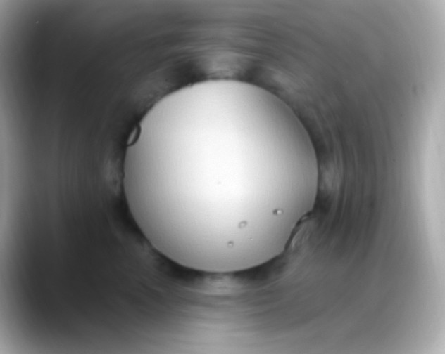 X0000088490666200706051419