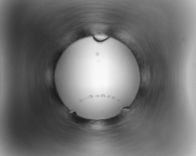 X0000088490667200706051419