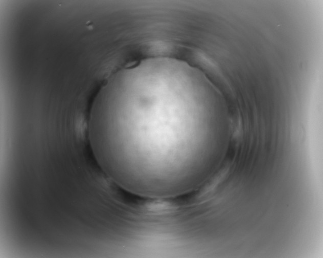 X0000088490669200706051419