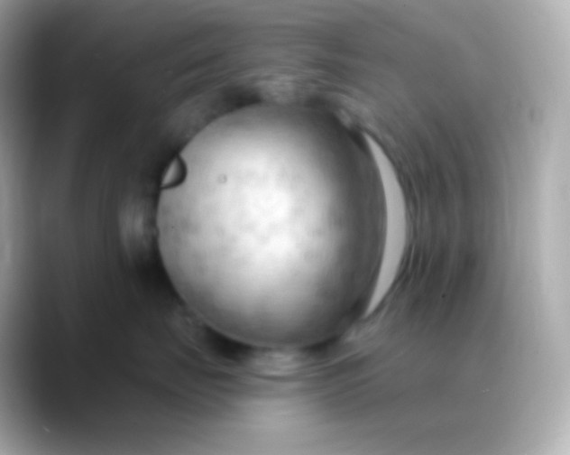 X0000088490671200706051419