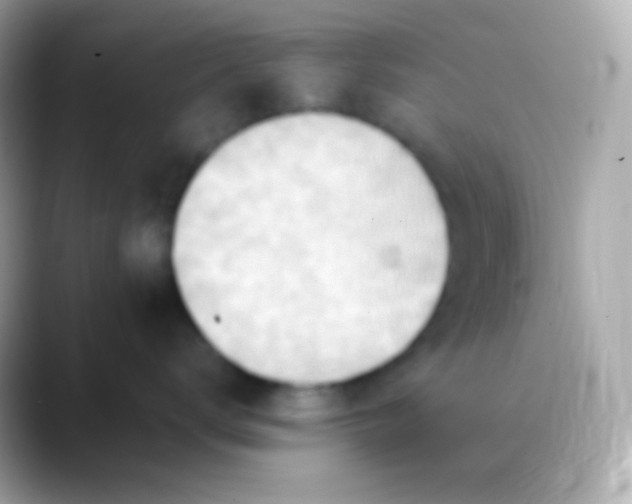 X0000088490672200706051419