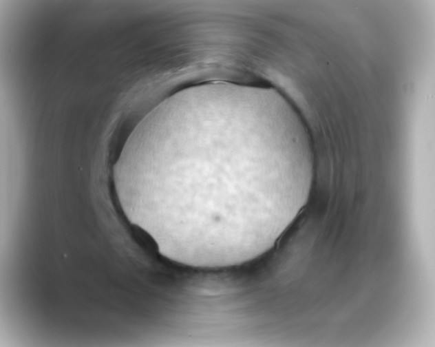 X0000088490673200706051419