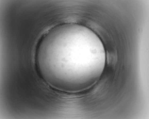 X0000088490675200706051419