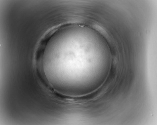 X0000088490676200706051419