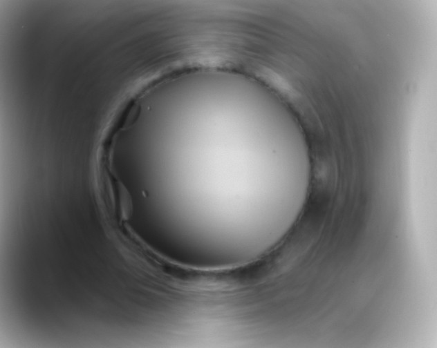 X0000088490678200706051419