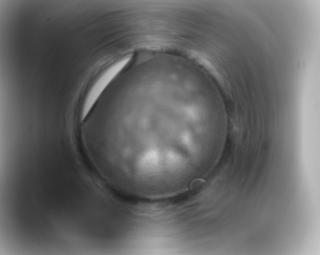 X0000088490679200706051419