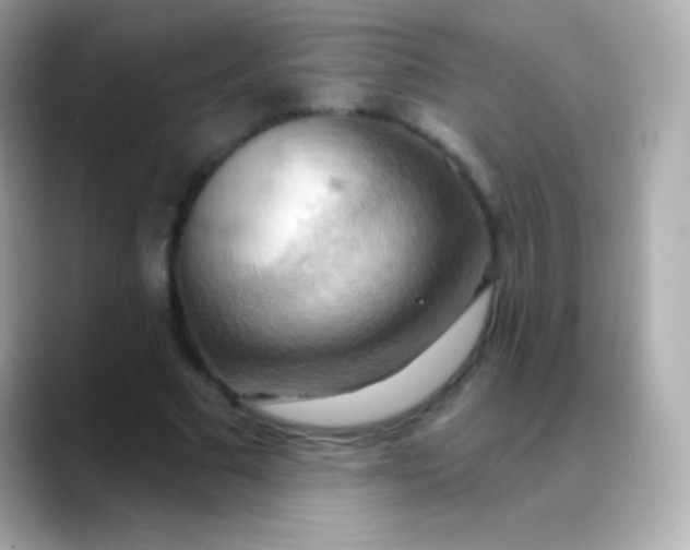 X0000088490681200706051419