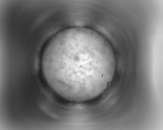 X0000088490683200706051418