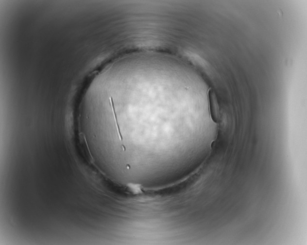 X0000088490684200706051418