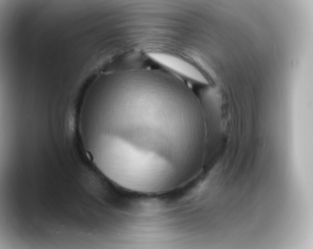 X0000088490685200706051418