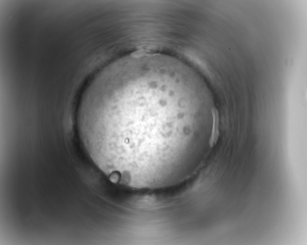 X0000088490687200706051418