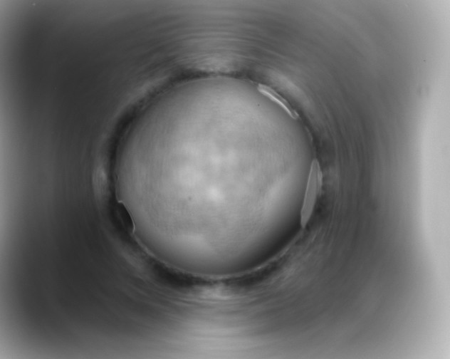 X0000088490688200706051418