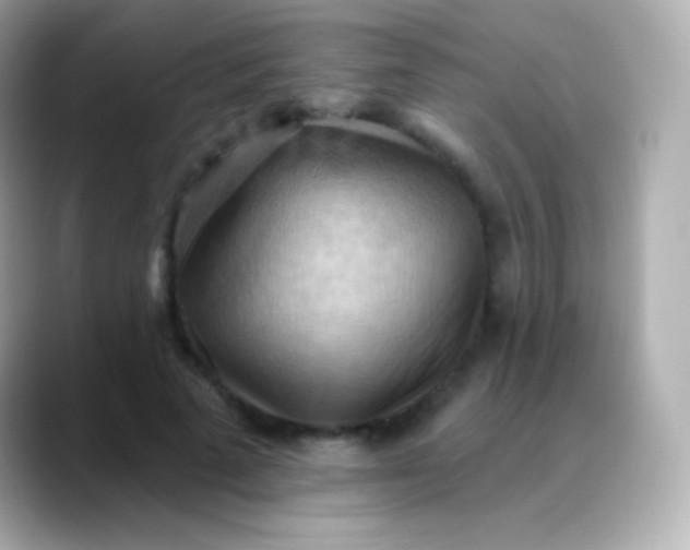 X0000088490689200706051418