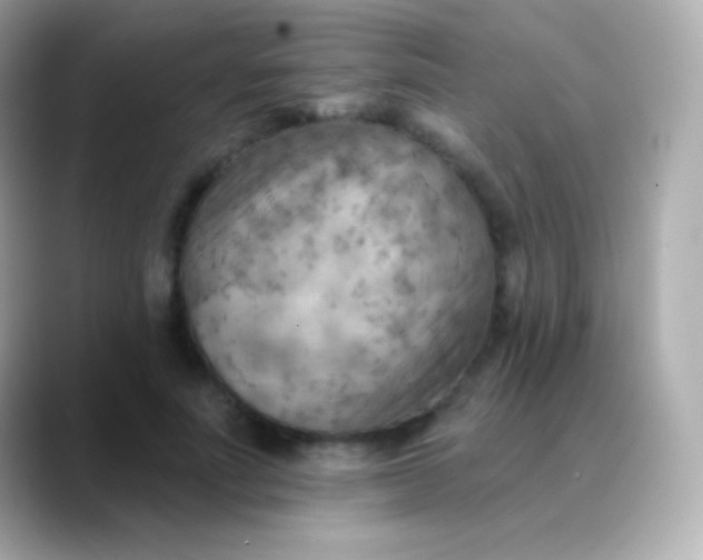 X0000088490691200706051418