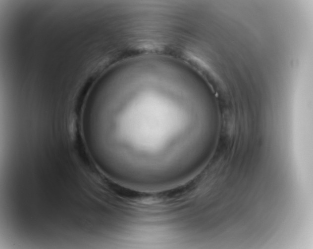 X0000088490692200706051418