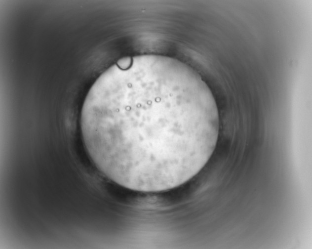 X0000088490695200706051418