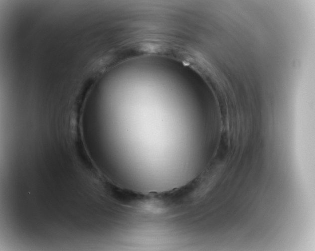 X0000088490696200706051418