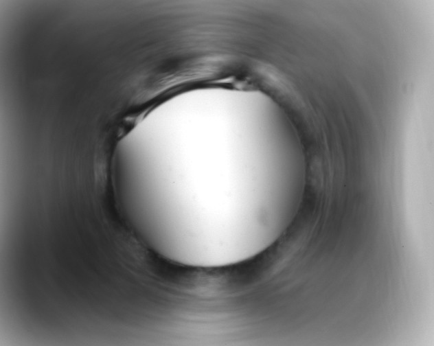 X0000088490697200706051418