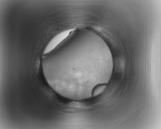 X0000088490699200706051418