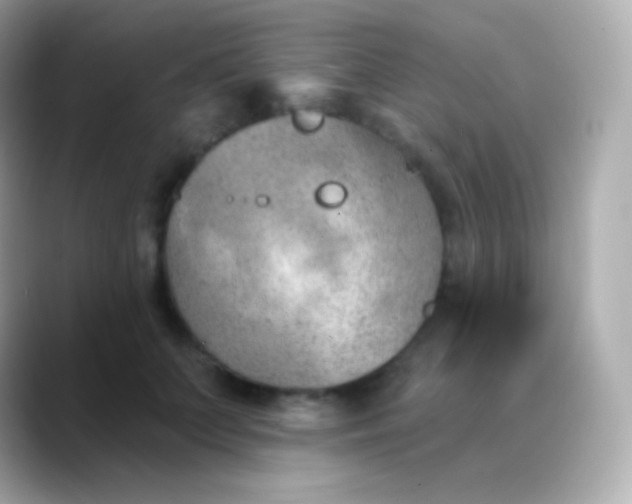 X0000088490703200706051418