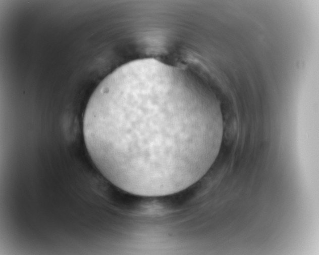 X0000088490704200706051418