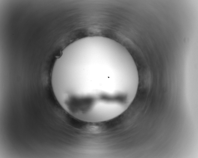 X0000088490706200706051418