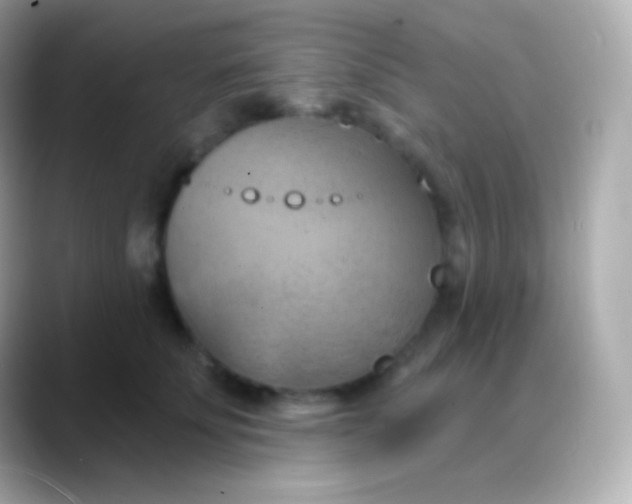 X0000088490707200706051418