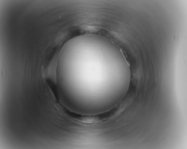 X0000088490708200706051418