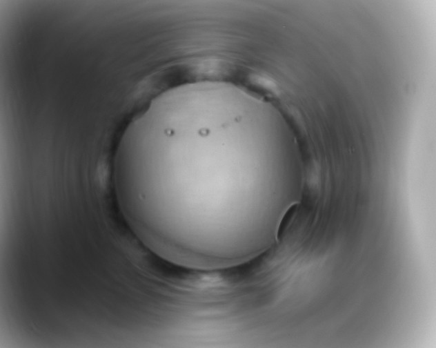 X0000088490715200706051418