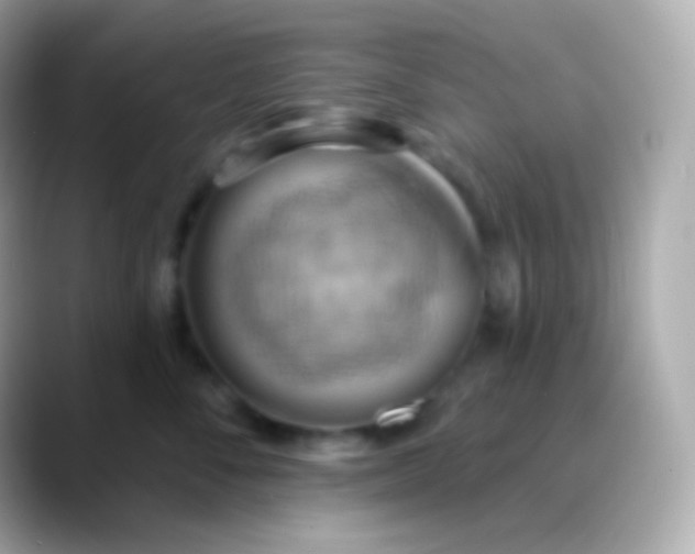 X0000088490716200706051418