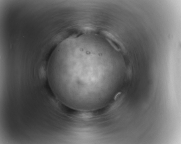 X0000088490719200706051418