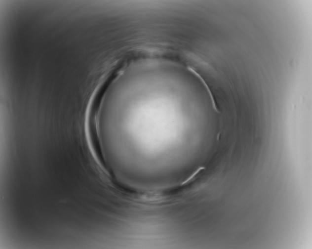 X0000088490720200706051418