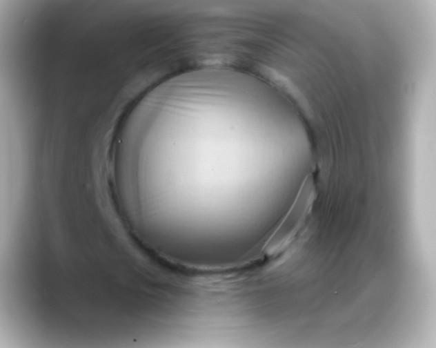 X0000088490721200706051417