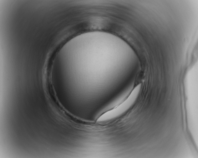 X0000088490722200706051418