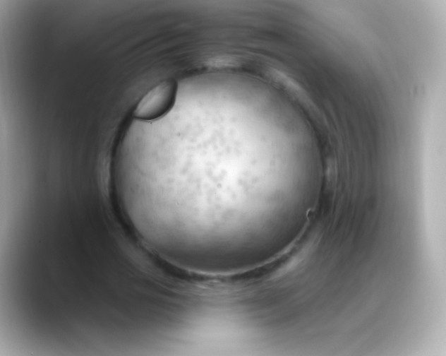 X0000088490725200706051418