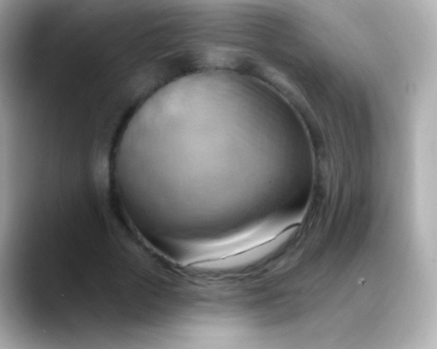 X0000088490729200706051418