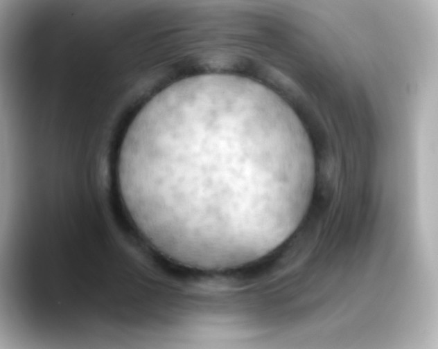 X0000088490734200706051418