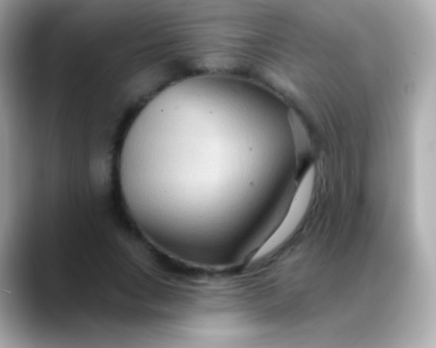 X0000088490735200706051418