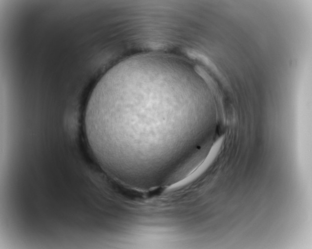 X0000088490736200706051418