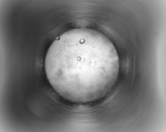 X0000088490737200706051418