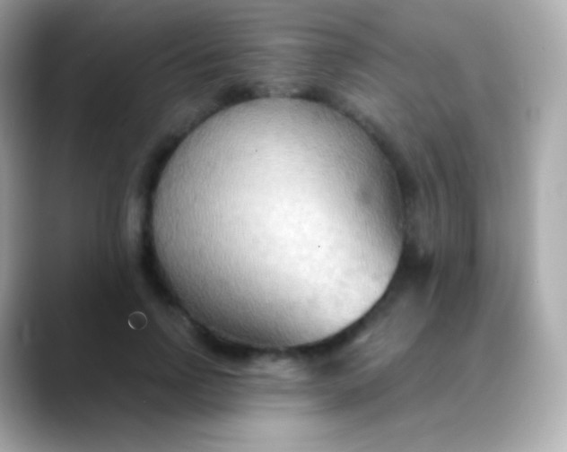 X0000088490742200706051418