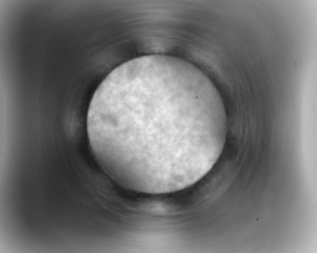 X0000088490743200706051418