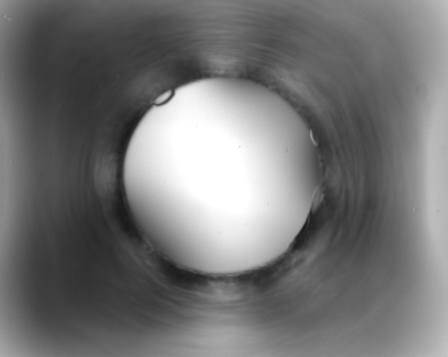 X0000088490744200706051418