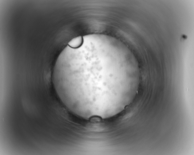 X0000088490745200706051418