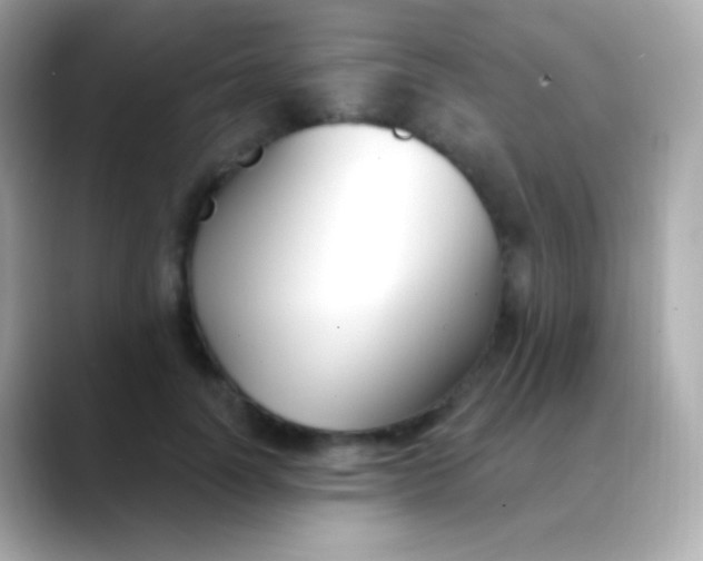 X0000088490746200706051418