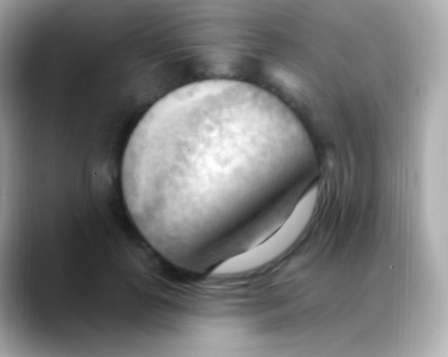 X0000088490747200706051418