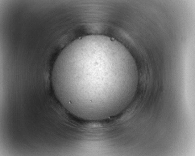 X0000088490749200706051418