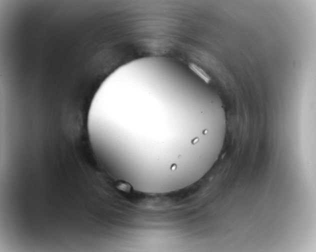 X0000088490752200706051418