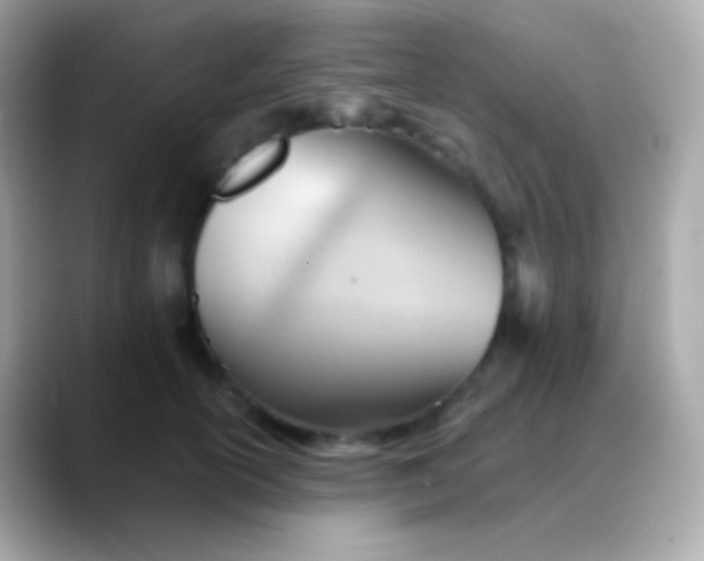 X0000088490754200706051418